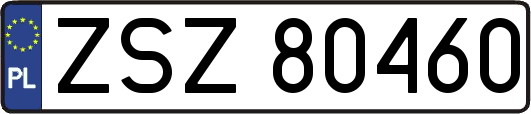 ZSZ80460