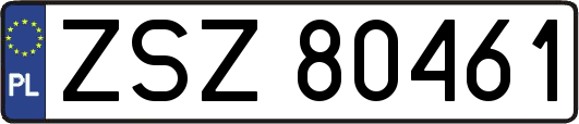 ZSZ80461