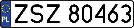 ZSZ80463