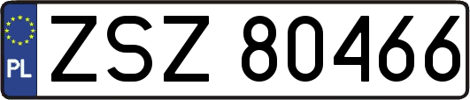 ZSZ80466