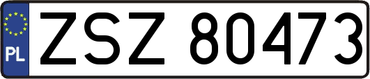 ZSZ80473