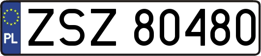 ZSZ80480
