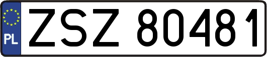 ZSZ80481