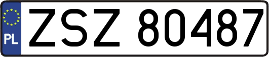 ZSZ80487