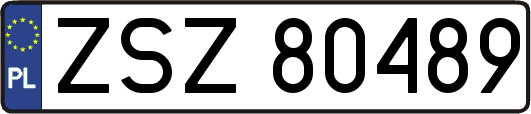 ZSZ80489