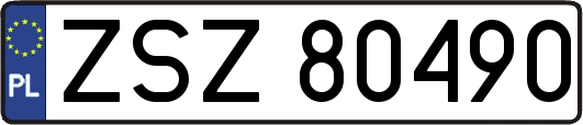 ZSZ80490