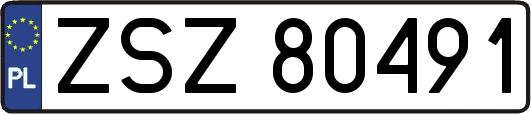 ZSZ80491
