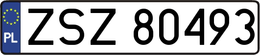 ZSZ80493