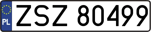 ZSZ80499