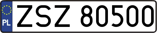 ZSZ80500