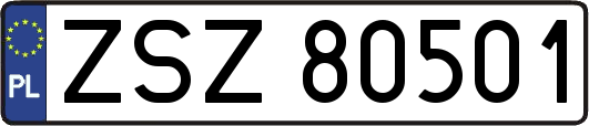 ZSZ80501