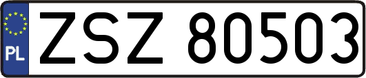 ZSZ80503