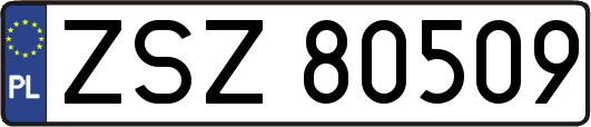 ZSZ80509