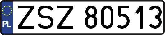 ZSZ80513