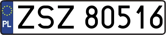 ZSZ80516