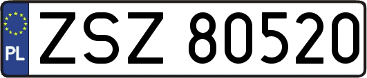ZSZ80520