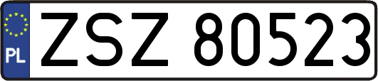 ZSZ80523