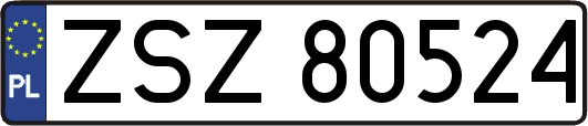 ZSZ80524