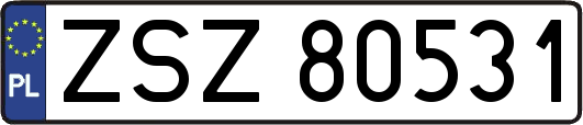 ZSZ80531