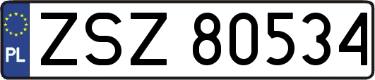 ZSZ80534