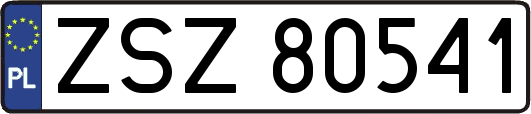 ZSZ80541