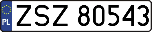 ZSZ80543