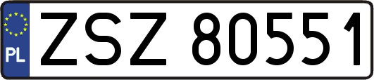 ZSZ80551