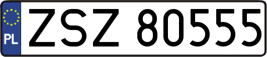 ZSZ80555