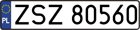 ZSZ80560