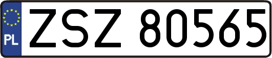 ZSZ80565