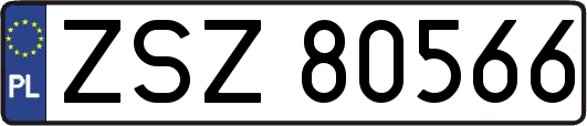 ZSZ80566