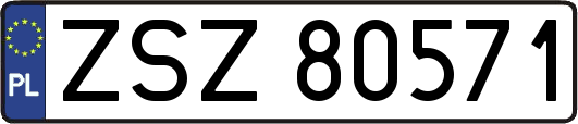 ZSZ80571