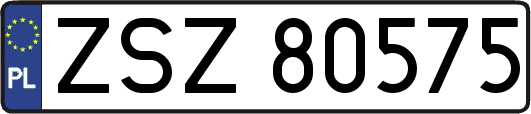 ZSZ80575