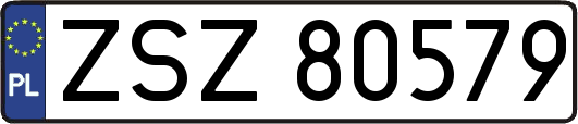 ZSZ80579