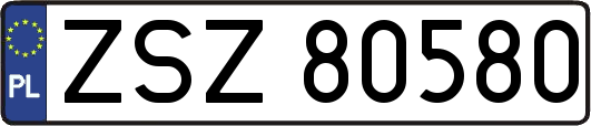 ZSZ80580