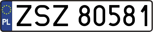 ZSZ80581