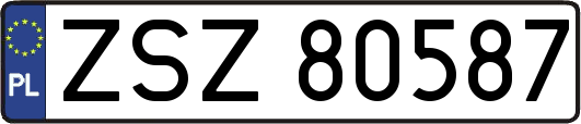 ZSZ80587