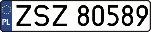 ZSZ80589