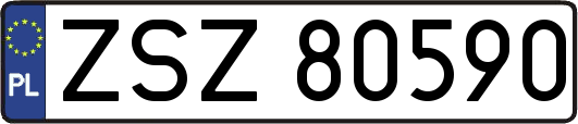 ZSZ80590