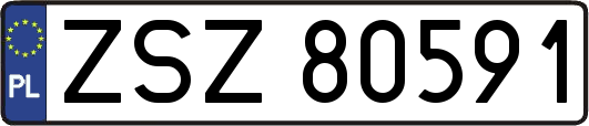 ZSZ80591