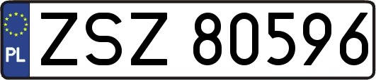 ZSZ80596