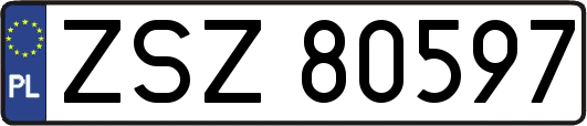 ZSZ80597
