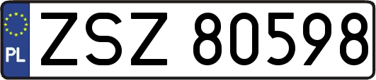ZSZ80598