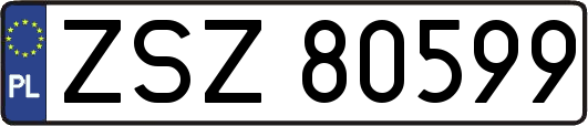 ZSZ80599