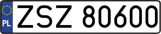 ZSZ80600