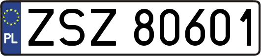 ZSZ80601
