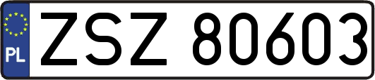 ZSZ80603