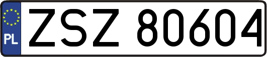 ZSZ80604