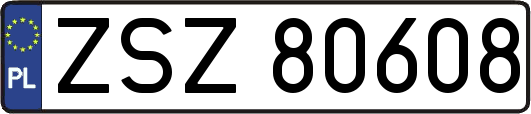 ZSZ80608