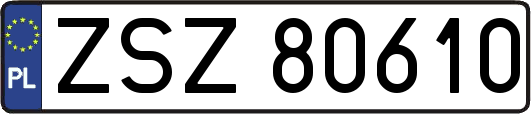 ZSZ80610